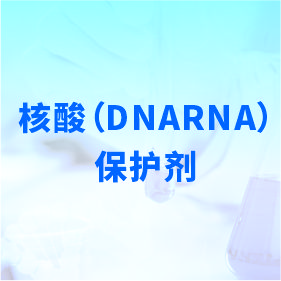 核酸（DNARNA）保護劑